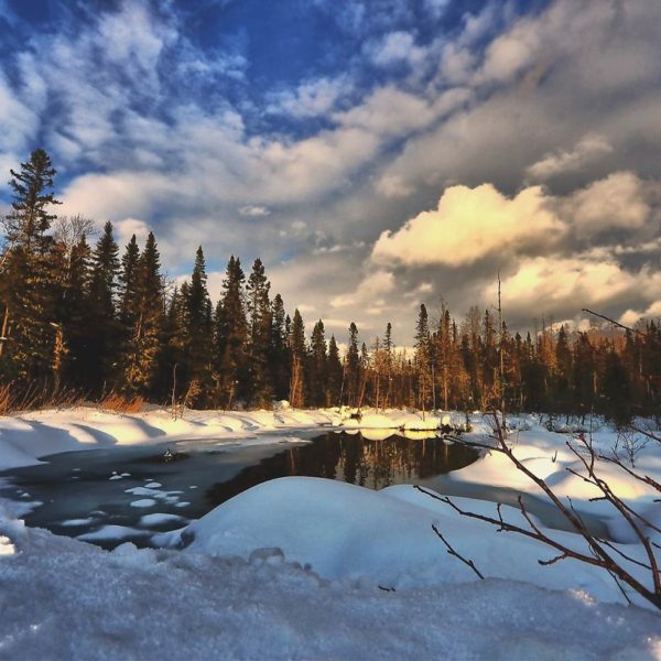 canada recherche