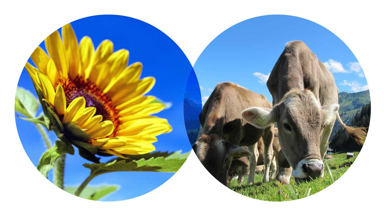 AGRI