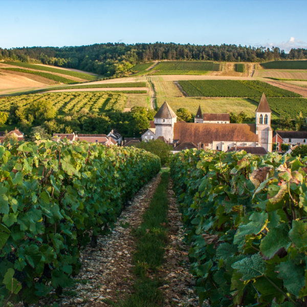VOYAGE DE GROUPE - La Bourgogne secrète et insolite
