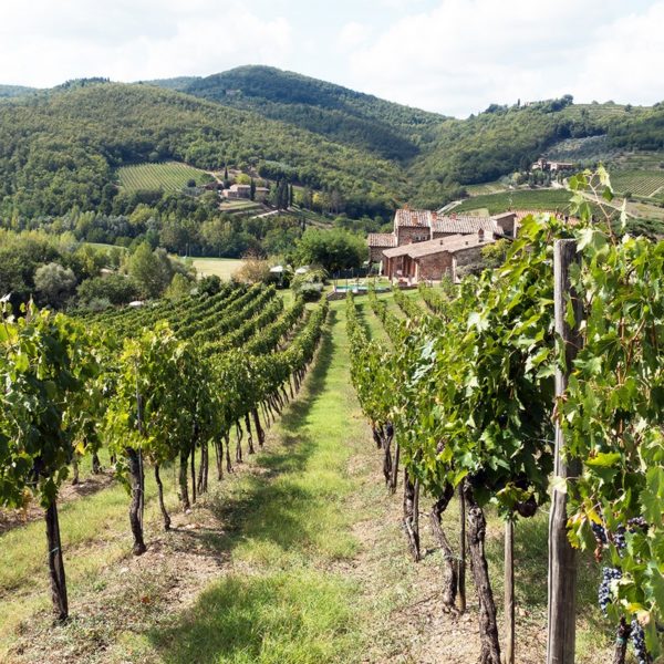 VOTRE VOYAGE SCOLAIRE - Visites agricoles en Toscane