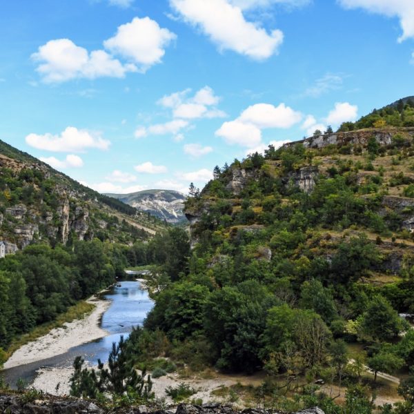 VOTRE VOYAGE SCOLAIRE - Gorges du Tarn, nature et découverte