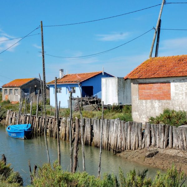 VOTRE VOYAGE SCOLAIRE - La Rochelle, le Marais Poitevin : entre mer et marais
