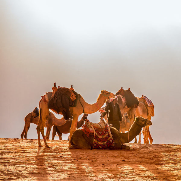 VOYAGE DE GROUPE - Jordanie, la magie d’Orient