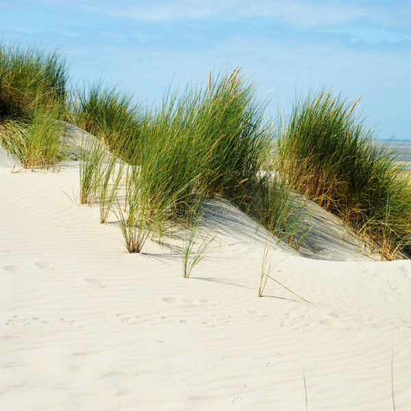 VOYAGE DE GROUPE - Joyaux de Somme