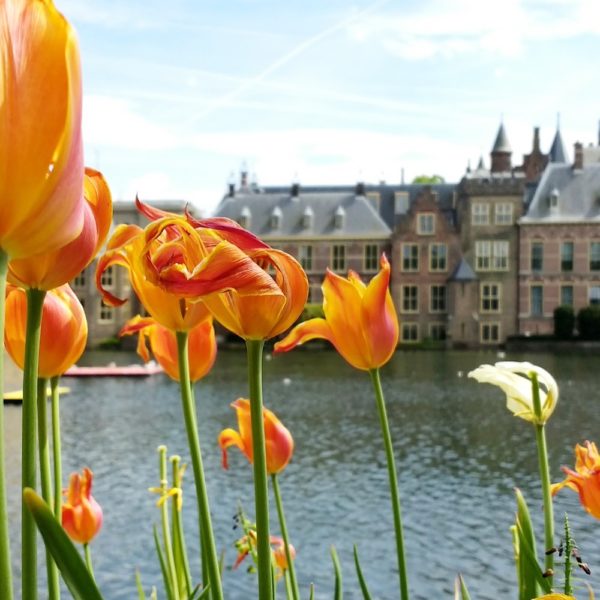 VOTRE VOYAGE SCOLAIRE - L'agriculture hollandaise