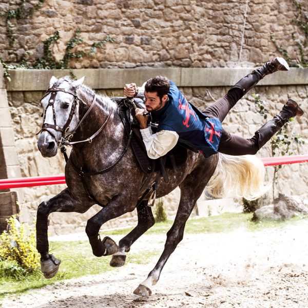 VOTRE VOYAGE SCOLAIRE - Le Puy du Fou