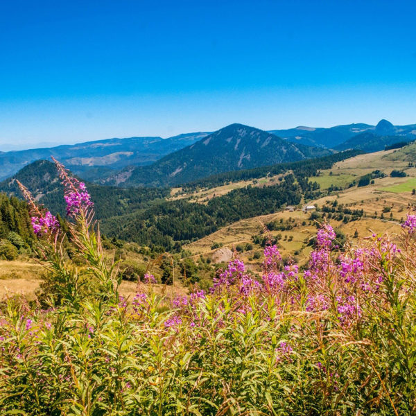 VOYAGE DE GROUPE - L’AUVERGNE : DESTINATION VOLCANIQUE !