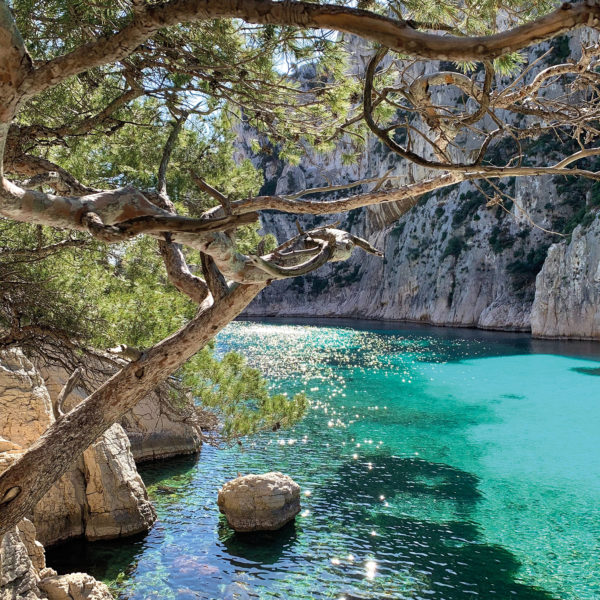 VOYAGE DE GROUPE - Authentique Marseille