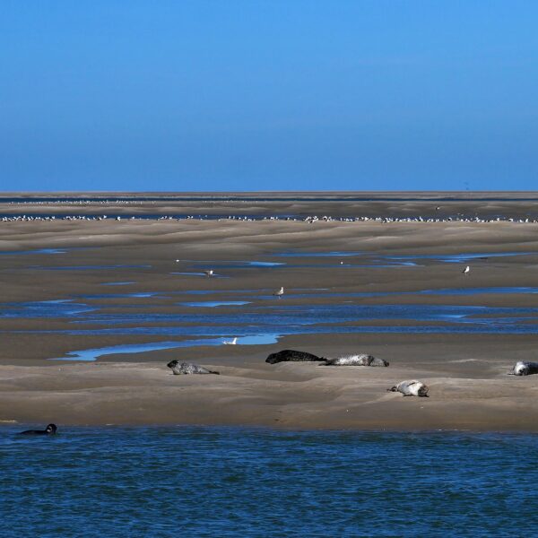VOTRE VOYAGE SCOLAIRE - Génération Nature - Baie de Somme